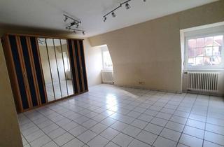 Wohnung mieten in 63741 Nilkheim, 1 Zi Singlewohnung Aschaffenburg Nilkheim für berufstätige Nichtraucher ohne Haustiere