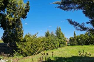 Doppelhaushälfte kaufen in 91126 Unterreichenbach, Nur noch ein Haus frei! Neubau-Doppelhaushälfte mit großem Garten in herrlich naturnaher Wohnlage