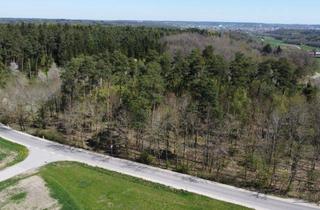 Anlageobjekt in 91522 Ansbach, Zeitlose Werte inmitten der Natur – Gepflegter Mischwald mit Wohlfühlcharakter