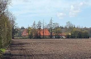 Anlageobjekt in 25926 Westre, Mehrfamilienhaus in idyllischer Alleinlage als Kapitalanlage oder selbst nutzen.