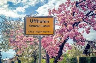 Grundstück zu kaufen in 55237 Flonheim, 560 m² Eckgrundstück in Flonheim-Uffhofen – privat zu verkaufen