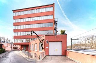 Büro zu mieten in Hammer Steindamm 62, 20535 Hamm, Direkt vom Eigentümer: helles Open Space Büro mit Raum für individuelle Gestaltung