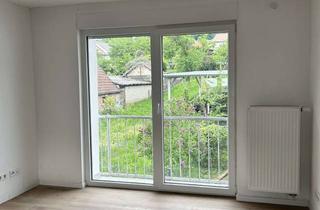 Wohnung mieten in 69518 Abtsteinach, Moderne 3-Zimmer-Wohnung - Erstbezug nach Sanierung