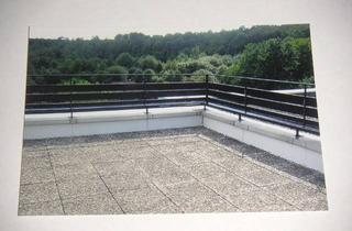 Wohnung mieten in Trockener Kamp, 31139 Hildesheim, Helle ruhige 2 Zi-Whg. mit großer Dachterrasse + Waldblick