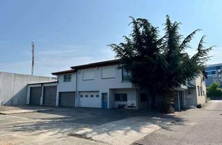 Haus kaufen in Im Brühl 84, 74348 Lauffen, Großzügiges Haus mit Gewerbeeinheit und Freifläche zur vielseitigen Nutzung in Lauffen am Neckar