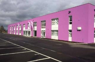Büro zu mieten in Steinbergstr. 3, Leipzig, 04288 Holzhausen, Büro/Soz. R. 206m², Lager-Produktion 750m², Freifl. 5000m² (Option + CNC Zerspanung ca.400m²