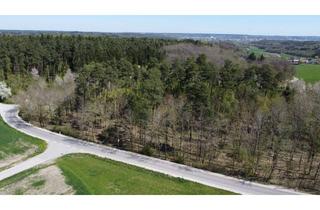 Anlageobjekt in 91522 Schalkhausen, Zeitlose Werte inmitten der Natur – Gepflegter Mischwald mit Wohlfühlcharakter