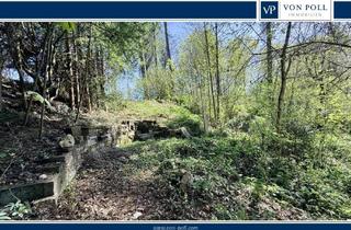 Immobilie kaufen in 88441 Mittelbiberach, Wald-/Freizeitgrundstück mit Hütten in Mittelbiberach