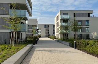 Wohnung mieten in Kinkelstr. 1/1, 76437 Rastatt, Exklusive 2-Zimmer-Wohnung mit Balkon in Rastatt