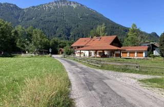 Wohnung mieten in 87459 Pfronten, Stilvolle, geräumige 4-Zi.-OG-Wohnung mit 2 Balkonen in ruhiger Ortsrandlage von Pfronten