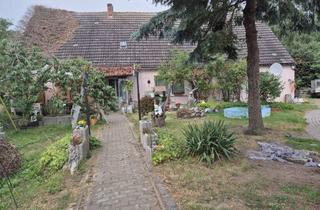 Haus kaufen in Thurow 18, 17391 Medow, Zuhause mit 6 Zimmern in Medow