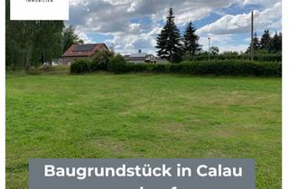 Grundstück zu kaufen in Finsterwalder-Straße 31, 03205 Calau, Großzügiges Baugrundstück in 03205 Calau