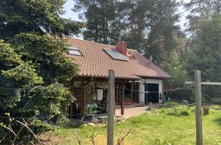 Haus mieten in 06889 Kropstädt, Traumhaus für Naturliebhaber und Individualisten