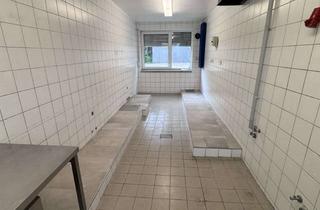 Wohnung mieten in Hauptstraße 94, 76547 Sinzheim, Gewerberaum Produktionsstätte Allzweckraum Hobbyraum Küche
