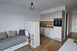 Wohnung mieten in Krifteler Straße, 60326 Gallus, Möbiliertes 1-Zimmer-Apartment mit Skyline-Blick