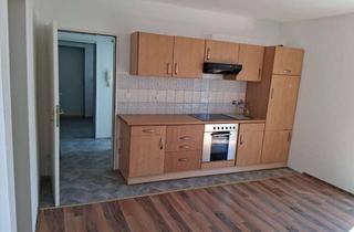 Wohnung mieten in Kollower Straße 14, 21493 Schwarzenbek, Modernisierte 1-Zimmer-Wohnung mit großer Wohnküche in Schwarzenbek
