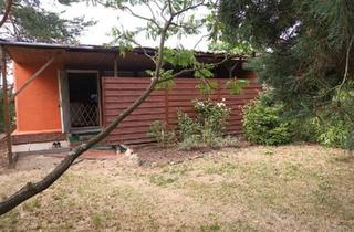 Haus kaufen in 04938 Uebigau, Uebigau-Wahrenbrück - Verkaufe Bungalow auf Pachtgrundstück in Kleingartensiedlung