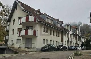 Wohnung kaufen in 79677 Aitern, Schönau im Schwarzwald - ZENTRAL, MODERNISIERT & NACHHALTIG BEHEIZT