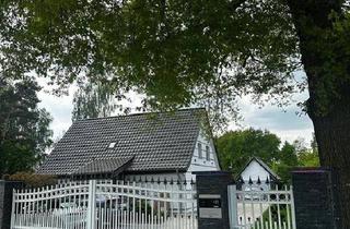 Haus kaufen in 38518 Gifhorn, Gifhorn - Exklusives Wohnen in traumhafter Alleinlage