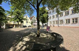 Wohnung kaufen in 76275 Ettlingen, Exklusive Maisonette-Wohnung mit eigenem Wellnessbereich in zentraler Lage nahe Altstadt und Schloss