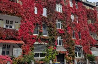 Wohnung kaufen in 38114 Braunschweig, 4-Zimmer Maisonette-Eigentumswohnung zentral gelegen in Braunschweig