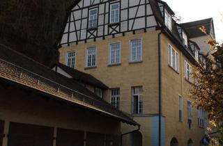 Wohnung mieten in Beim Preußischen, 72108 Rottenburg, Lichtdurchflutetes 1,5-Zimmer-Apartment in Rottenburg am Neckar