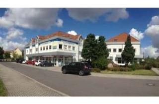 Wohnung mieten in Dewitzer Straße 77d, 04425 Taucha, Tolle Einraumwohnung mit Dachterasse *direkt vom Vermieter*