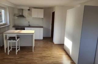 Wohnung mieten in Im Vogelsang 10, 67273 Weisenheim am Berg, Charmantes Studio-Apartment im Souterrain mit Gartenblick – voll möbliert & neu ausgestattet