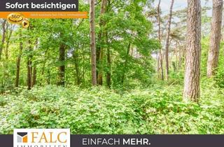 Anlageobjekt in 41379 Brüggen, Ein Stück Holter Heide fürs eigene Portfolio