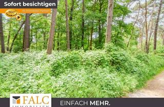Anlageobjekt in Boisheimer Straße, 41379 Brüggen, Waldareal in gewachsener Naturkulisse