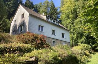 Haus kaufen in 34508 Willingen, 1-2 Familienhaus, ruhige Waldrandlage