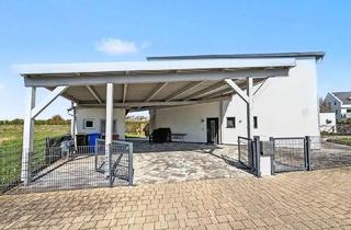 Doppelhaushälfte kaufen in 91438 Bad Windsheim, Moderne Doppelhaushälfte - Ihr Platz an der Sonne im schönen Bad Windsheim