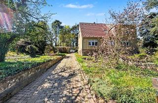 Einfamilienhaus kaufen in 06889 Lutherstadt Wittenberg, Großzügiges Familiendomizil mit 8 Zimmern – Einfamilienhaus mit eigenem Waldstück in Reinsdorf
