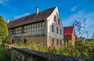 Haus kaufen in 06722 Weißenborn, Wo Lehmwände atmen und Zukunft Form annimmt