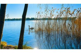Einfamilienhaus kaufen in 15838 Am Mellensee, Zwischen Wald und Wasser – Vermietetes Einfamilienhaus nahe Mellensee mit großem Garten