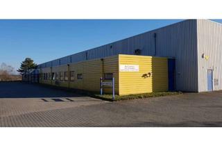 Gewerbeimmobilie kaufen in Baumhaselweg, 14827 Wiesenburg, Gewerbehalle in Wiesenburg zu Verkaufen