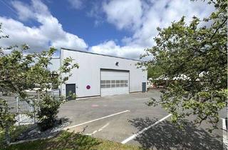 Gewerbeimmobilie mieten in 57234 Wilnsdorf, Neuwertige Gewerbehalle, ideal für Service, leichte Montagen, saubere Produktion