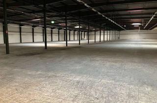 Büro zu mieten in 26871 Papenburg, Büro Verwaltung Lagerung Lagerfläche Filmproduktion Produktion Halle 20.000 m² ab 500 m² teilbar
