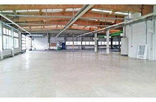 Gewerbeimmobilie mieten in 88250 Weingarten, Flexible Lagerflächen im Gewerbegebiet Weingarten – Teilflächen verfügbar