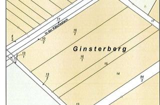 Grundstück zu kaufen in In Der Kätcheslach, 60437 Kalbach, Ackerland / Landwirtschaftliche Fläche / Kapitalanlage