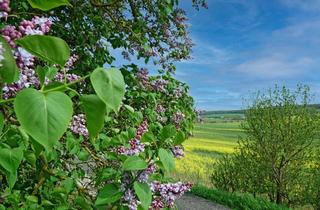 Grundstück zu kaufen in 06632 Freyburg, Malerische Ruhe eingebettet in sanften Hügeln