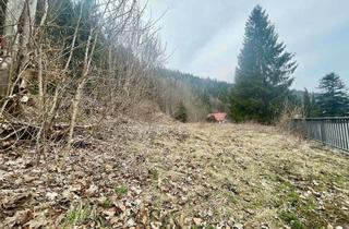 Grundstück zu kaufen in 08248 Klingenthal, Unbebautes Wohngrundstück am Fuße des Aschberges