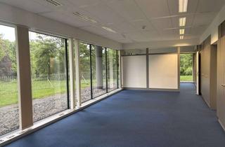 Gewerbeimmobilie mieten in Palmaille 45, 22767 Altona-Altstadt, Elblage an der Palmaille (Inklusivmiete)