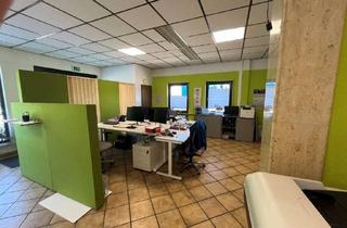 Büro zu mieten in 67240 Bobenheim-Roxheim, Vielseitige Büro- und Hallenflächen – einzeln oder kombiniert anmietbar - BR 3883