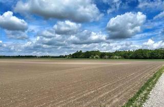 Gewerbeimmobilie kaufen in 85737 Ismaning, Ackerfläche in Ismaning