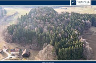 Gewerbeimmobilie kaufen in 93449 Waldmünchen, Lebensraum Wald: Fichte, Buche und Lärche in Generationen gewachsen