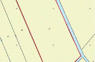 Gewerbeimmobilie kaufen in 25813 Südermarsch, Ca. 2,2179 Hektar unverpachtete Grünfläche in der Südermarsch bei Rantrum!