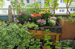 Wohnung kaufen in Schützenstraße 19, 67061 Süd, Von Privat: Helle Wohnung in Ludwigshafen-Süd - Gartenidylle mitten in der Stadt