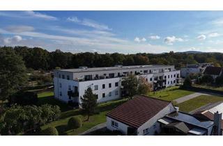 Wohnung mieten in Darmstädter Straße 23, 63811 Stockstadt, Exklusive 3-Zimmer Wohnung mit EBK