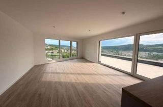 Penthouse mieten in 74821 Mosbach, Haustiere erlaubt! Luxuriöses 4-Zimmer Penthouse mit großer Dachterrasse, Garage und Einbauküche